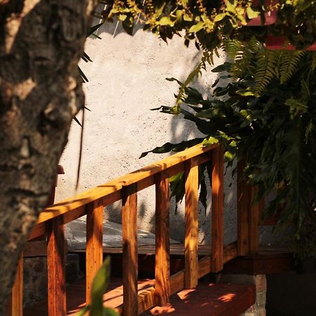 Casa Rustica Βίλα Atlixco Εξωτερικό φωτογραφία